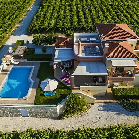 Cretan Vineyard Hill * Ano Kalesia