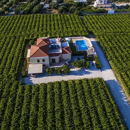 Cretan Vineyard Hill *