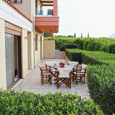 Cretan Vineyard Hill